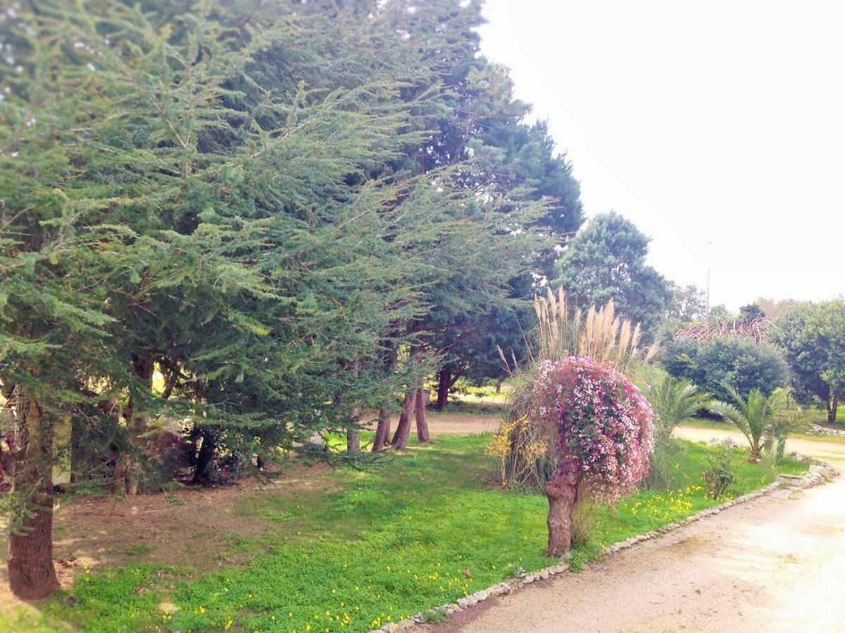 مبيت وإفطار ميليندونيو La Macchia المظهر الخارجي الصورة